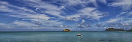 Lord Howe Island - NSW (PBH4 00 11806)